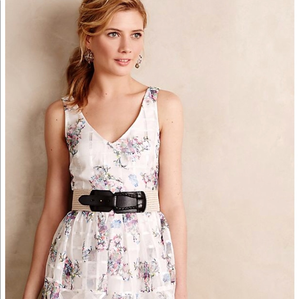 NWT ANTHROPOLOGIE PEONY GARDEN ORGANZA DRESS
